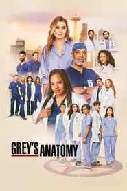 Greys Anatomy tv show poster