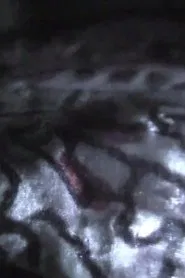 Venezia 70 – Future Reloaded: Claire Denis movie poster