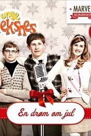 Den unge Fleksnes tv show poster
