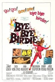 Bye Bye Birdie movie poster