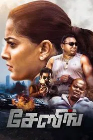 Chasing movie poster