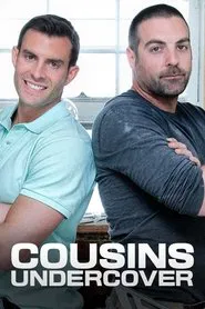 Cousins Deconstructed tv show poster