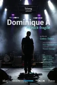 Dominique A, le rock fragile movie poster