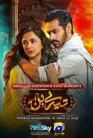 Tere Bin tv show poster