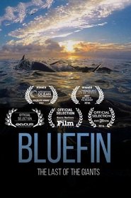 Poster do filme Bluefin