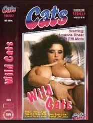 Wild Cats In Action movie poster