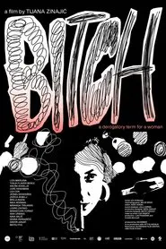 Bitch, A Derogatory Term for a Woman movie poster