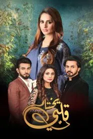 My heart chooses tv show poster