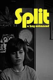 Split movie poster