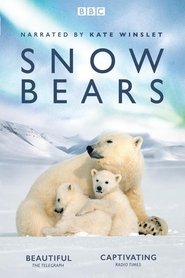 Snow Bears movie poster