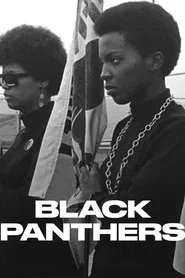 Black Panthers tv show poster