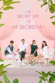 The Secret Life of My Secretary tv show poster