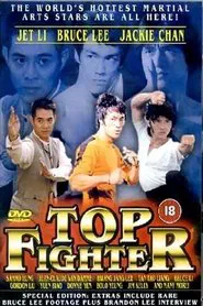 Poster do filme Top Fighter