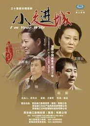 小麦进城 tv show poster