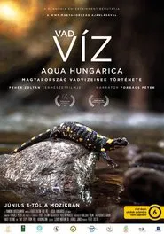 Poster do filme Where Rivers Run Wild: Aqua Hungarica