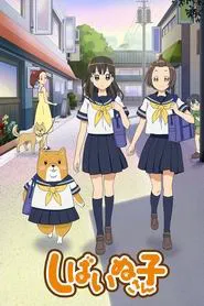 Poster da série Shiba Inuko-san