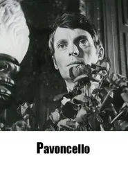 Pavoncello movie poster