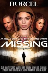 Poster do filme Missing