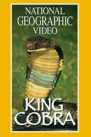 Poster do filme King Cobra