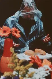 I Said No Tomato movie poster