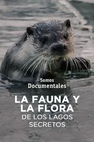 Mecklenburgs geheime Wasserwildnis - Die Feldberger Seen movie poster