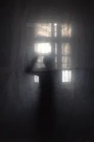 Self-Portrait: Window in 47KM movie poster