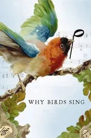 Poster do filme Why Birds Sing