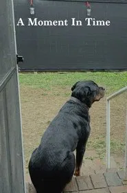 A Moment In Time movie poster