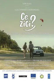 Ce Zici? (What Do You Think?) movie poster