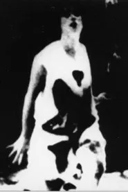 Poster do filme The Central Character