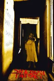 Poster do filme Shadow Theory