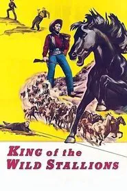 King of the Wild Stallions movie poster
