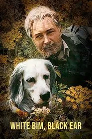 White Bim Black Ear movie poster