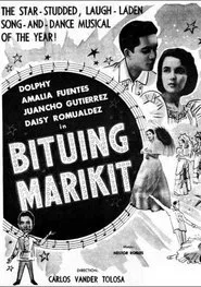 Beautiful star movie poster