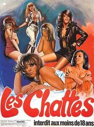 The Sextrovert movie poster