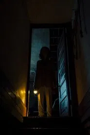 Shadow movie poster