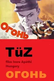 Poster do filme Tüz