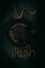 Wash movie poster