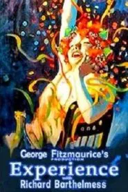 Experience movie poster