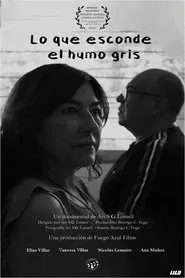 What the gray smoke hides movie poster