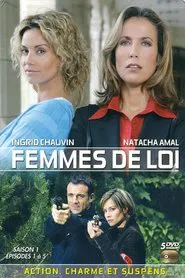 Ladies of the Law tv show poster