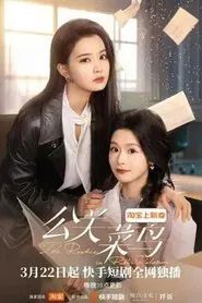 The Rookie in Public Relation tv show poster