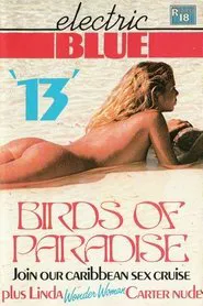 Electric Blue 13 movie poster