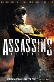 Poster do filme Assassins Revenge