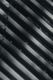 Blinder movie poster