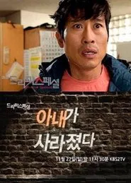 My Wife Disappeared tv show poster