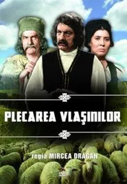 Vlashins' Leaving movie poster
