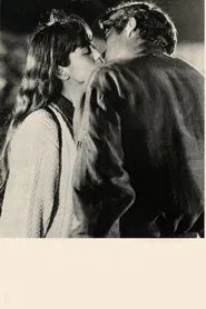 Promise at 20 years tv show poster