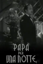 Papà per una notte movie poster