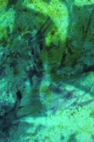 Spectre / Effacement / Disparition (Film expérience / fragilité) movie poster